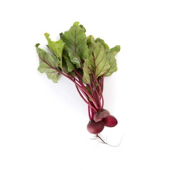 Παντζάρι LIBERO RZ F1 2500 σπόρων