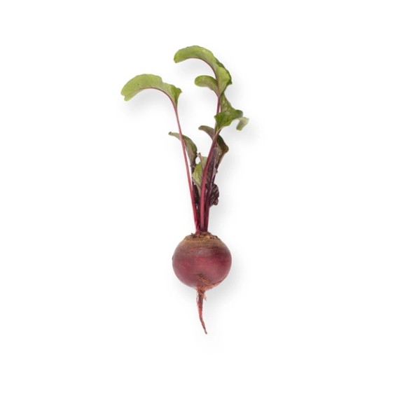 Παντζάρι MONTY RZ F1 2500 σπόρων