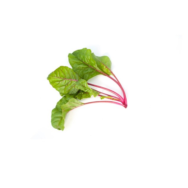 Σπόρος Σέσκουλο Swiss chard CHARLIE RZ F1 1.000.000 σπόρων Rijk Zwaan Hellas