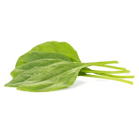 Σπανάκι Oriental BABOON RZ F1 1.000.000 σπόρων