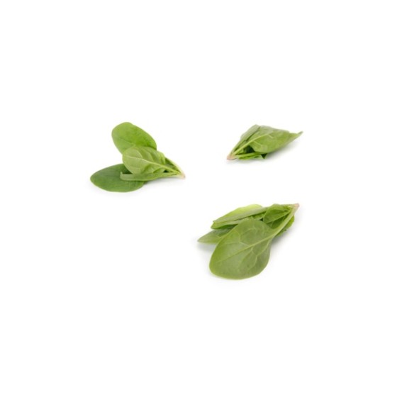 Σπανάκι Smooth BONOBO RZ F1 1.000.000 σπόρων