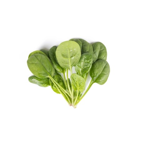 Σπανάκι semi-Savoy DIAMONDBACK RZ F1 1.000.000 σπόρων