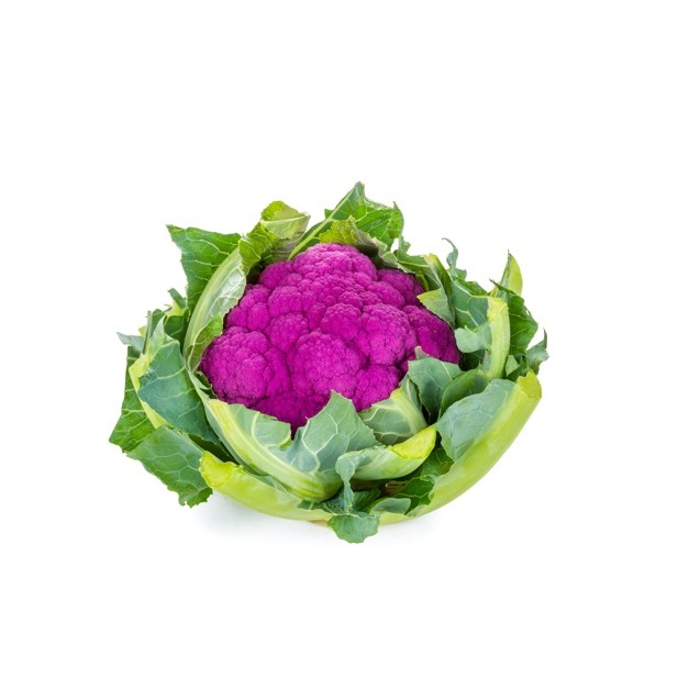 Σπόρος Κoυνουπίδι LAVENDER RZ F1 (75-85 ημερών) 2500 σπόρων Rijk Zwaan Hellas