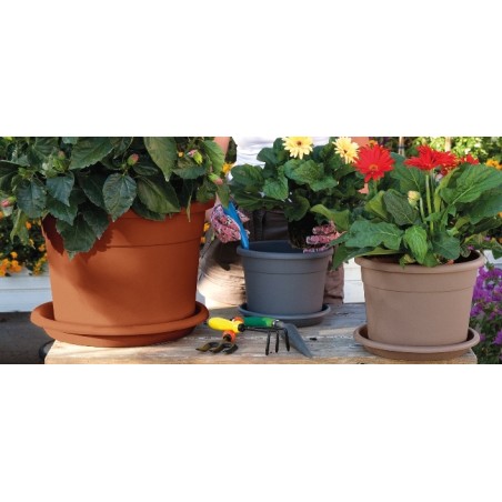 Πιάτο για γλαστρα Diana – Προσφέρει μοναδική αισθητική | iroots.gr