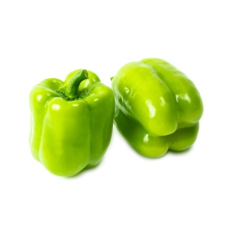 Πιπεριά dolma Raiko F1 500 σπόρων Rijk Zwaan