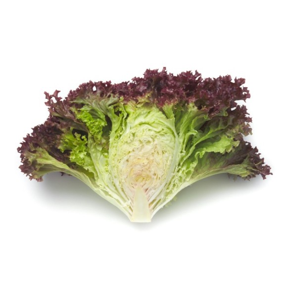 Μαρούλι Leaf lettuce CONCORDE RZ 5000 σπόρων