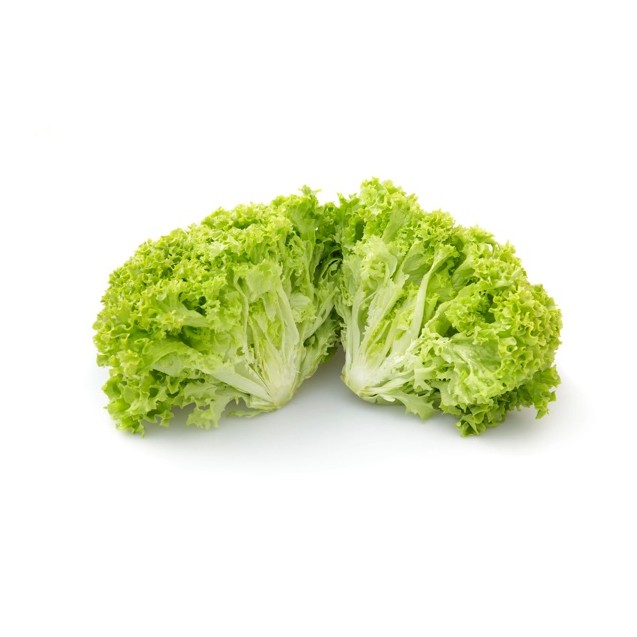 Σπόρος Μαρούλι Leaf lettuce LIMEIRA RZ 5000 σπόρων Rijk Zwaan Hellas