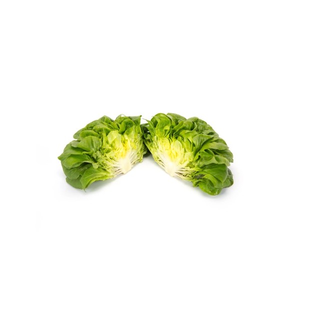 Σπόρος Μαρούλι Multi leaf lettuce HAWKING RZ 5000 σπόρων Rijk Zwaan Hellas