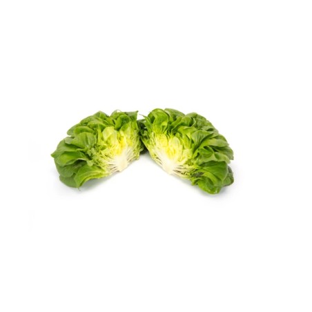 Σπόρος Μαρούλι Multi leaf lettuce HAWKING RZ 5000 σπόρων Rijk Zwaan Hellas