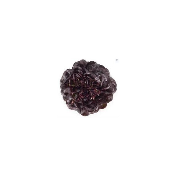 Μαρούλι Multi leaf lettuce SEURAT RZ 5000 σπόρων