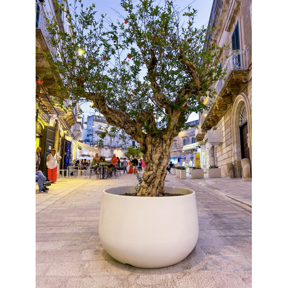 Γλάστρα Acaya διαμέτρου 78cm και ύψος 50cm 172 λίτρων