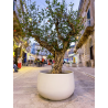 Γλάστρα Acaya διαμέτρου 78cm και ύψος 50cm 172 λίτρων