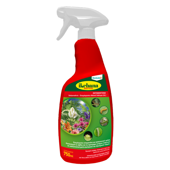 IKEBANA INSECTICIDA 750ml – Εντομοκτόνο Spray Γενικής Χρήσης Dominate+PLUS Εντομοκτόνα- Κατσαριδοκτόνα - Gel