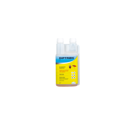 DIPTRON EC 1lt – Συμπυκνωμένο Εντομοκτόνο Επαγγελματικής Χρήσης Dominate+PLUS Εντομοκτόνα- Κατσαριδοκτόνα - Gel