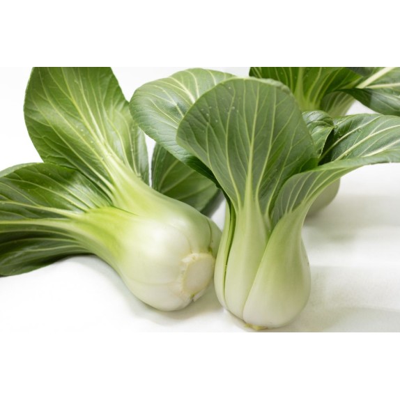 Σπόρος Λάχανο Πεκίνου Pak Choi YOU QING CHOI   2500 σπόρων SAKATA
