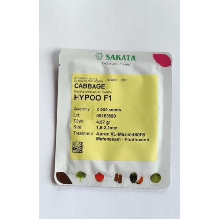 Σπόρος Λάχανο HYPOO  F1 10.000 σπόρων (80-90 ημερών) SAKATA