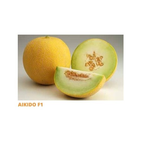 Σπόρος Πεπόνι AIKIDO  F1 1000 σπόρων SAKATA