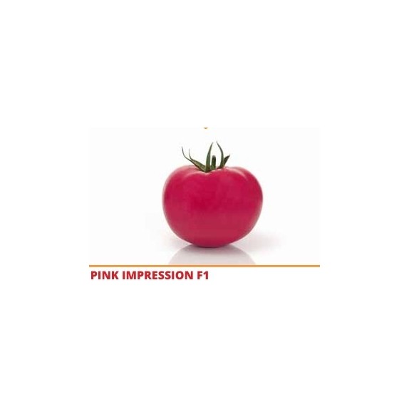 Σπόρος Τομάτα αναρριχώμενη PINK IMPRESSION  F1 1000 σπόρων SAKATA