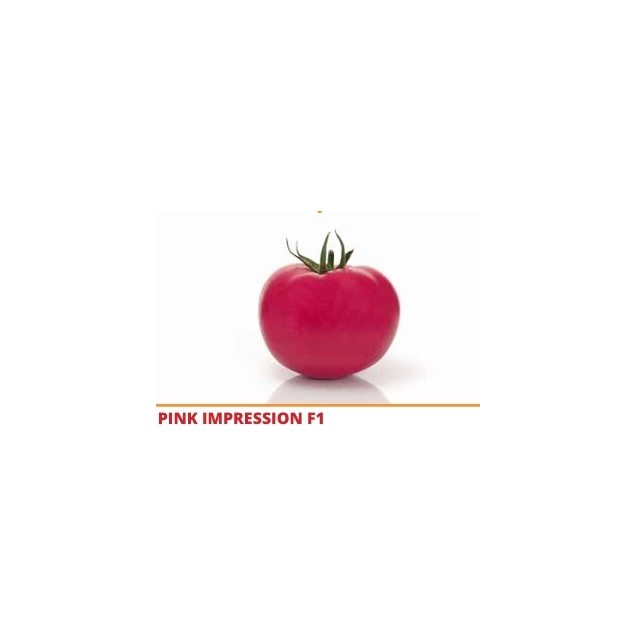 Σπόρος Τομάτα αναρριχώμενη PINK IMPRESSION  F1 1000 σπόρων SAKATA