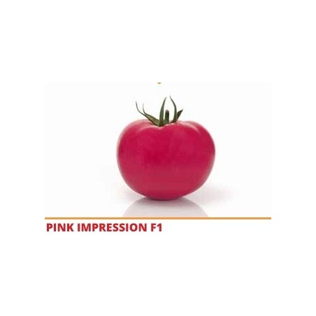 Σπόρος Τομάτα αναρριχώμενη PINK IMPRESSION  F1 1000 σπόρων SAKATA