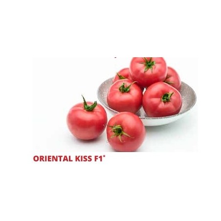 Σπόρος Τομάτα αναρριχώμενη ORIENTAL KISS  F1 1000 σπόρων SAKATA
