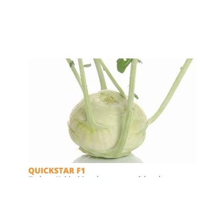 Σπόρος Λαχανόριζα Kohlrabi QUICKSTAR F1  2500 σπόρων SAKATA