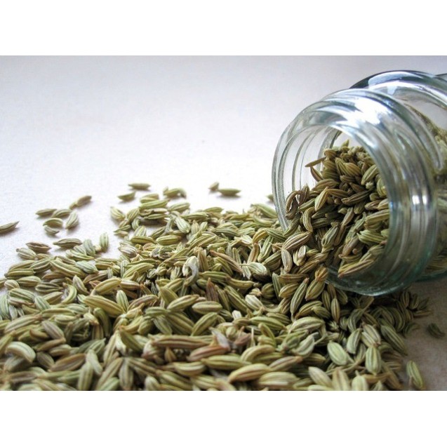 Άνηθος Αρωματικός Buket 500 γραμ. Fytro seeds