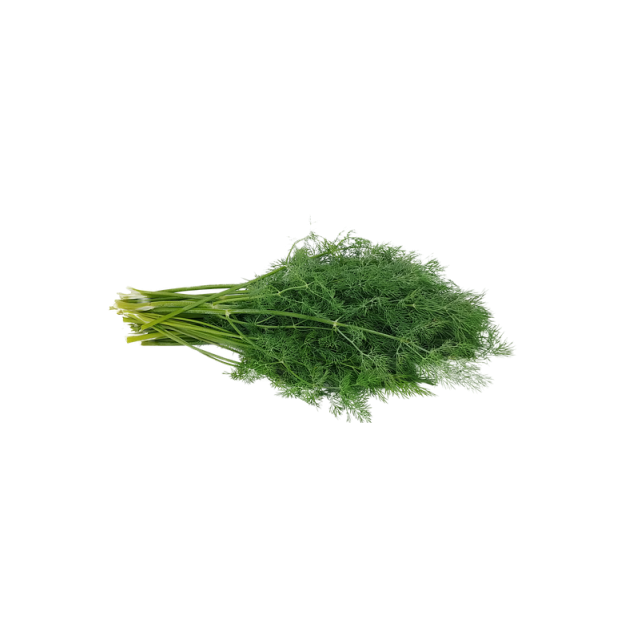 Άνηθος Αρωματικός Buket 500 γραμ. Fytro seeds
