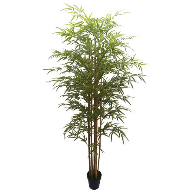 ΔΕΝΤΡΟ ΜΠΑΜΠΟΥ REAL TOUCH ΣΕ ΓΛΑΣΤΡΑ - Y220cm 2/KIB