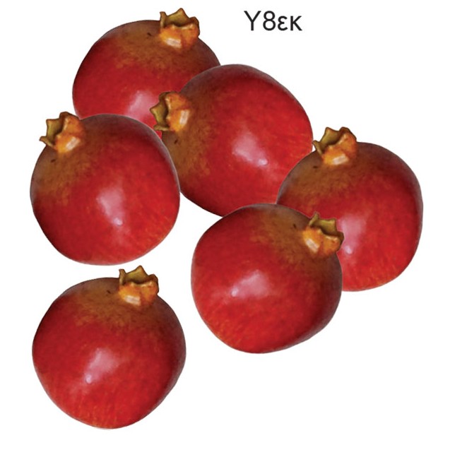 ΤΕΧΝΗΤΑ ΡΟΔΙΑ ΣΕΤ/6 ΟΙΚΟΛΟΓΙΚΑ - Υ8cm