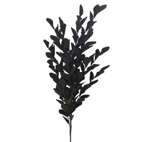 ΚΛΑΔΙ FOAM ΦΥΛΛΑ ΧΩΝΑΚΙΑ ΜΑΥΡΟ - Φ30x110cm 6/36ΚΙΒ