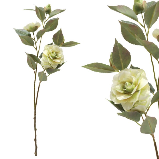 ΚΛΑΔΙ ΚΑΜΕΛΙΑΣ ΕΚΡΟΥ Χ5 ΑΝΘΗ - Y69cm 12/120ΚΙΒ