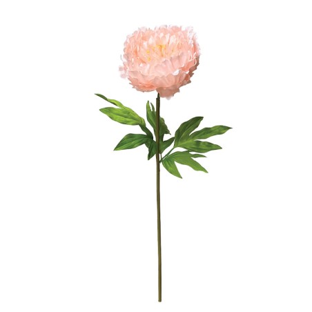 ΣΟΜΟΝ ΚΛΑΔΙ ΠΑΙΩΝΙΑ ΜΕ ΚΟΤΣΑΝΙ - Φ22x90cm 12/ΚΙΒ