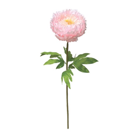 ΡΟΖ ΚΛΑΔΙ ΠΑΙΩΝΙΑ ΜΕ ΚΟΤΣΑΝΙ - Φ22x90cm 12/ΚΙΒ