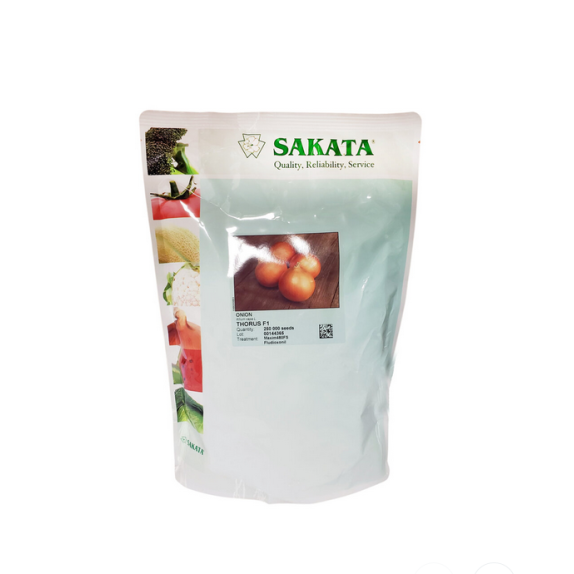 Σπόρος Κρεμμύδι THORUS  F1 100.000 σπόρων SAKATA