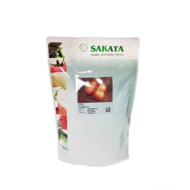 Σπόρος Κρεμμύδι THORUS  F1 100.000 σπόρων SAKATA