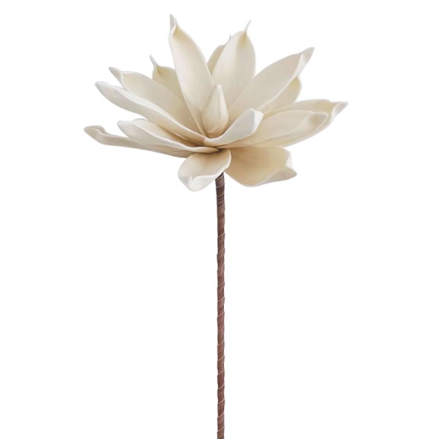 ΚΛΑΔΙ FOAM ΝΟΥΦΑΡΟ ΜΠΕΖ/ΚΑΦΕ - Y75cm 24/240ΚΙΒ