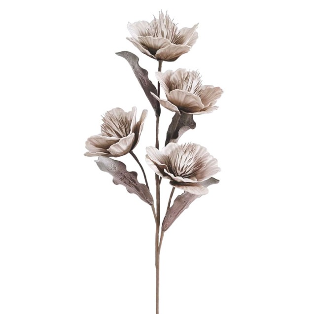ΚΛΑΔΙ FOAM ΚΑΦΕ ΑΓΡΙΟΛΟΥΛΟΥΔΟ Χ5 - Υ92cm 12/120ΚΙΒ