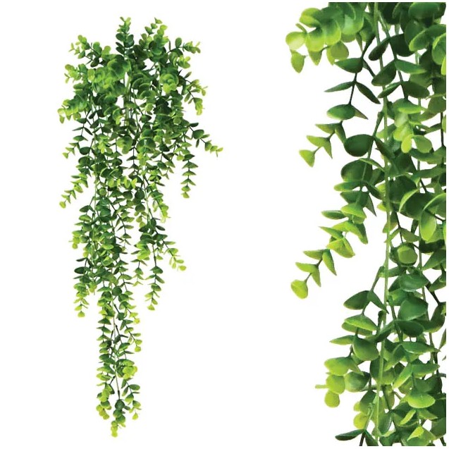 ΡΙΖΑ ΚΡΕΜΑΣΤΗ ΕΥΚΑΛYΠΤΟΣ ΠΡΑΣΙΝΟ 37x67/77cm 36/108ΚΙΒ