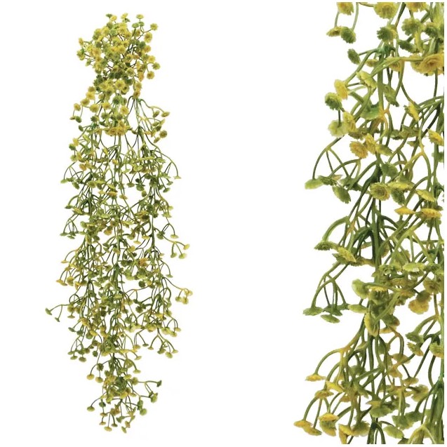 ΡΙΖΑ ΚΡΕΜΑΣΤΗ ΓΥΨΟΦΥΛΛΟ ΚΙΤΡΙΝΟ 35x70/75cm 24/96ΚΙΒ