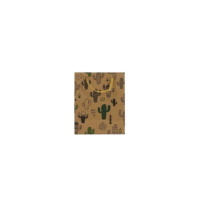 ΟΙΚΟΛΟΓΙΚΗ ΣΑΚΟΥΛΑ ΧΑΡΤΙΝΗ ΚΑΚΤΟΙ 11.5x14x6cm 12/ΣΑΚ
