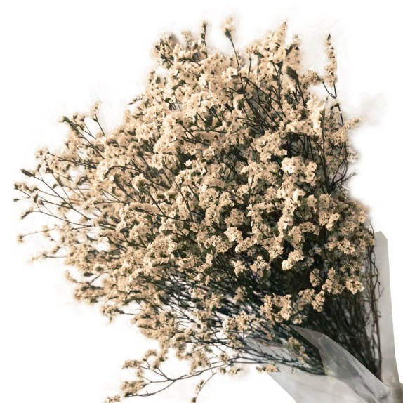 ΑΠΟΞΗΡΑΜΕΝΟ ΜΠΕΖ ΜΠΟΥΚΕΤΟ ΛΕΙΜΩΝΙΟ 120gr - Υ80-90cm 30/ΚΙΒ