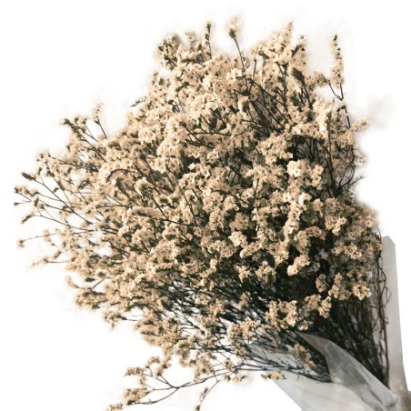 ΑΠΟΞΗΡΑΜΕΝΟ ΜΠΕΖ ΜΠΟΥΚΕΤΟ ΛΕΙΜΩΝΙΟ 120gr - Υ80-90cm 30/ΚΙΒ