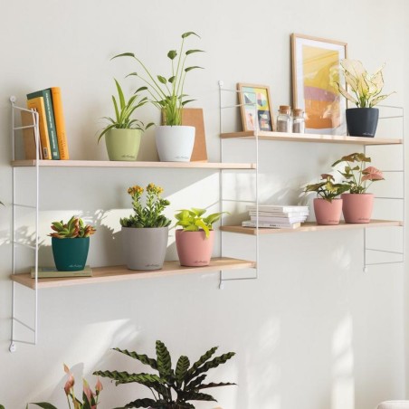 LECHUZA DECO 10 | Κασπώ Εσωτερικού Χώρου Ø11,1cm