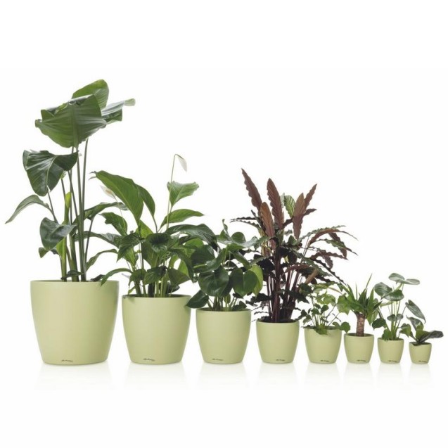 LECHUZA DECO 12 | Κασπώ Εσωτερικού Χώρου Ø13cm