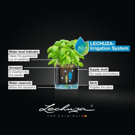 LECHUZA CUBE Premium 14 High Gloss | Κασπώ Αυτοποτισμού