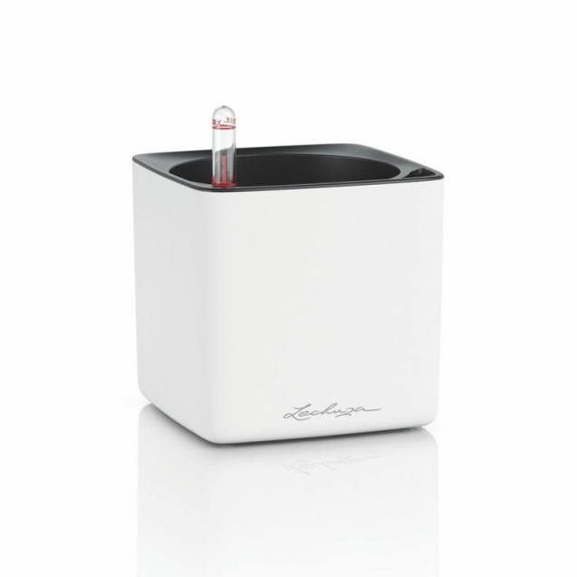 LECHUZA CUBE Premium 14 High Gloss | Κασπώ Αυτοποτισμού