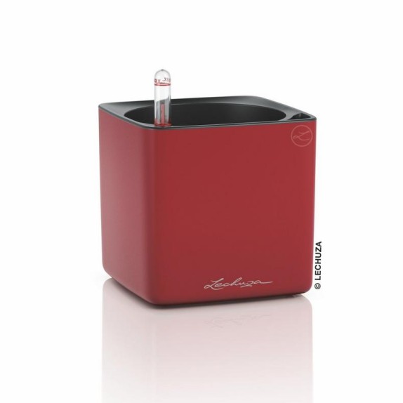 LECHUZA CUBE Premium 14 High Gloss | Κασπώ Αυτοποτισμού
