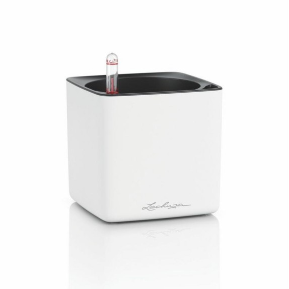 LECHUZA CUBE Premium 16 High Gloss | Κασπώ Αυτοποτισμού