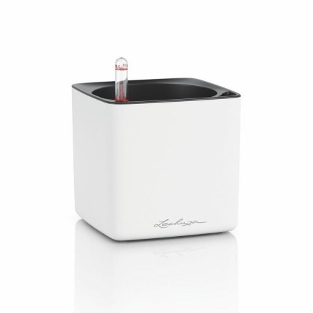 LECHUZA CUBE Premium 16 High Gloss | Κασπώ Αυτοποτισμού